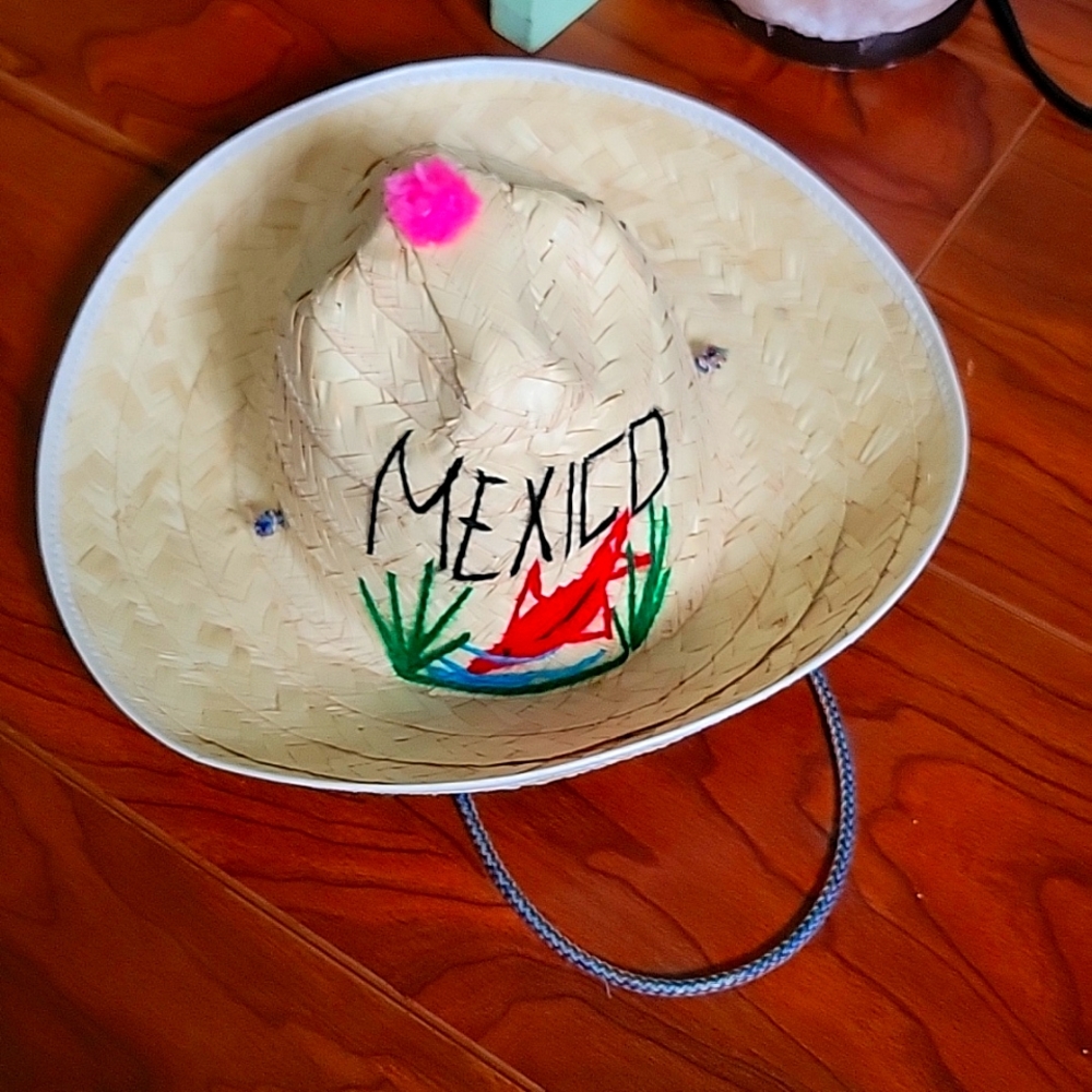 Hat Mexico From Straw.